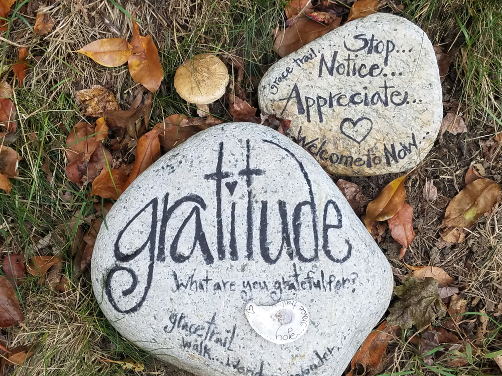 Gratitude,What,Are,You,Grateful,Rock