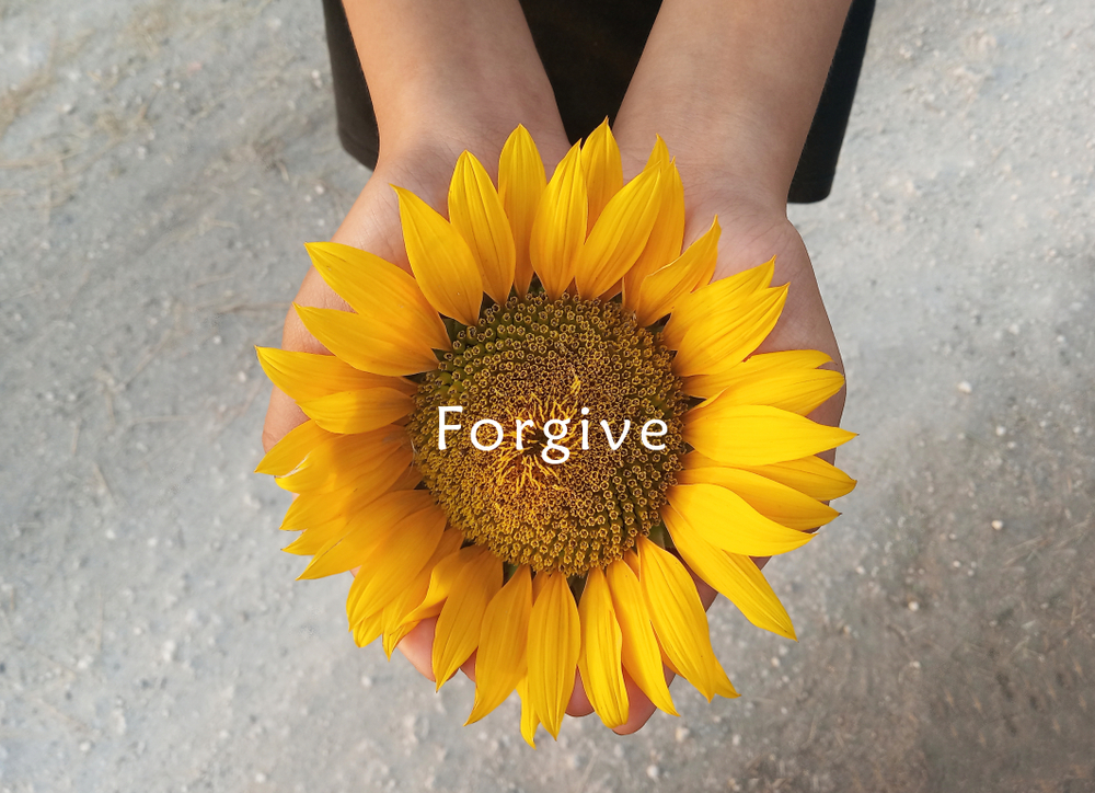 Inspirational,Quote,-,Forgive.,With,Background,Of,Sunflower,Blossom,In